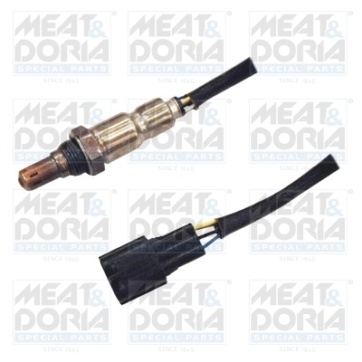 Oxygen Sensor
